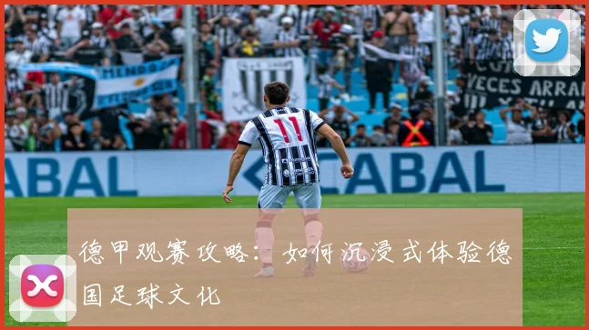 德甲观赛攻略:如何沉浸式体验德国足球文化